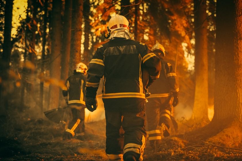Lesný požiar, ilustračná fotografia.